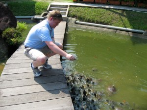 IMG_3601 Flid the Turtle God