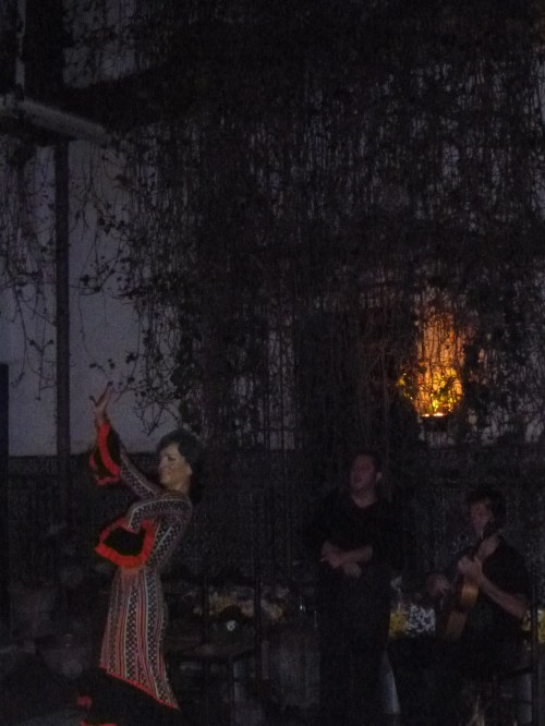 INCREDIBLE Flamenco Show!