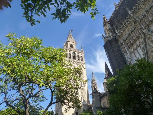 From inside the courtyard at the beautiful Catedral de Sevilla.