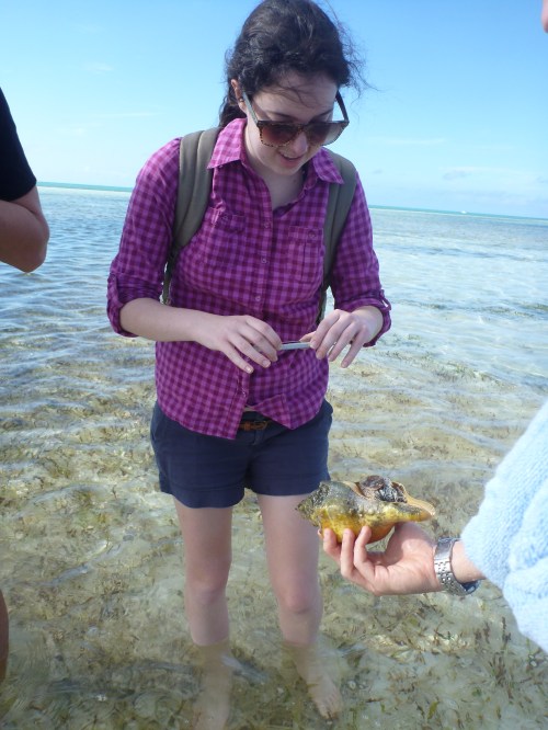 Experiencing the wildlife