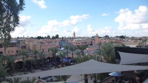 View of Marrakech from our rooftop perch