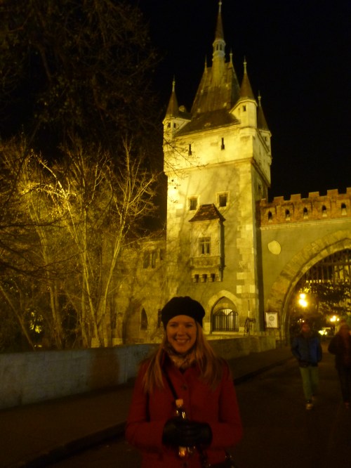 Pretty excited about this castle