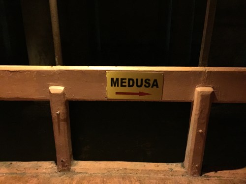 On a quest for Medusa!