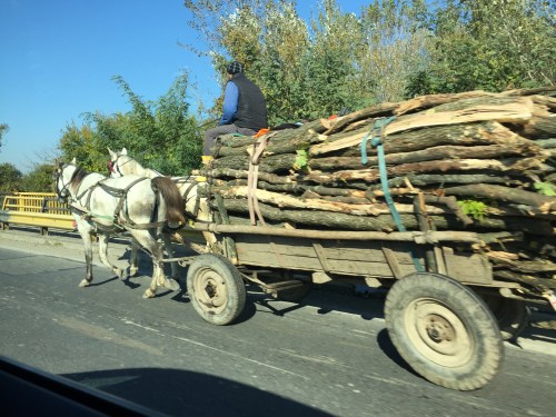 Life in the fast lane...