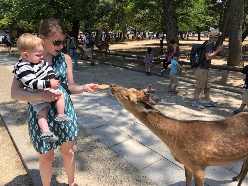 20180506_021007776_iOS