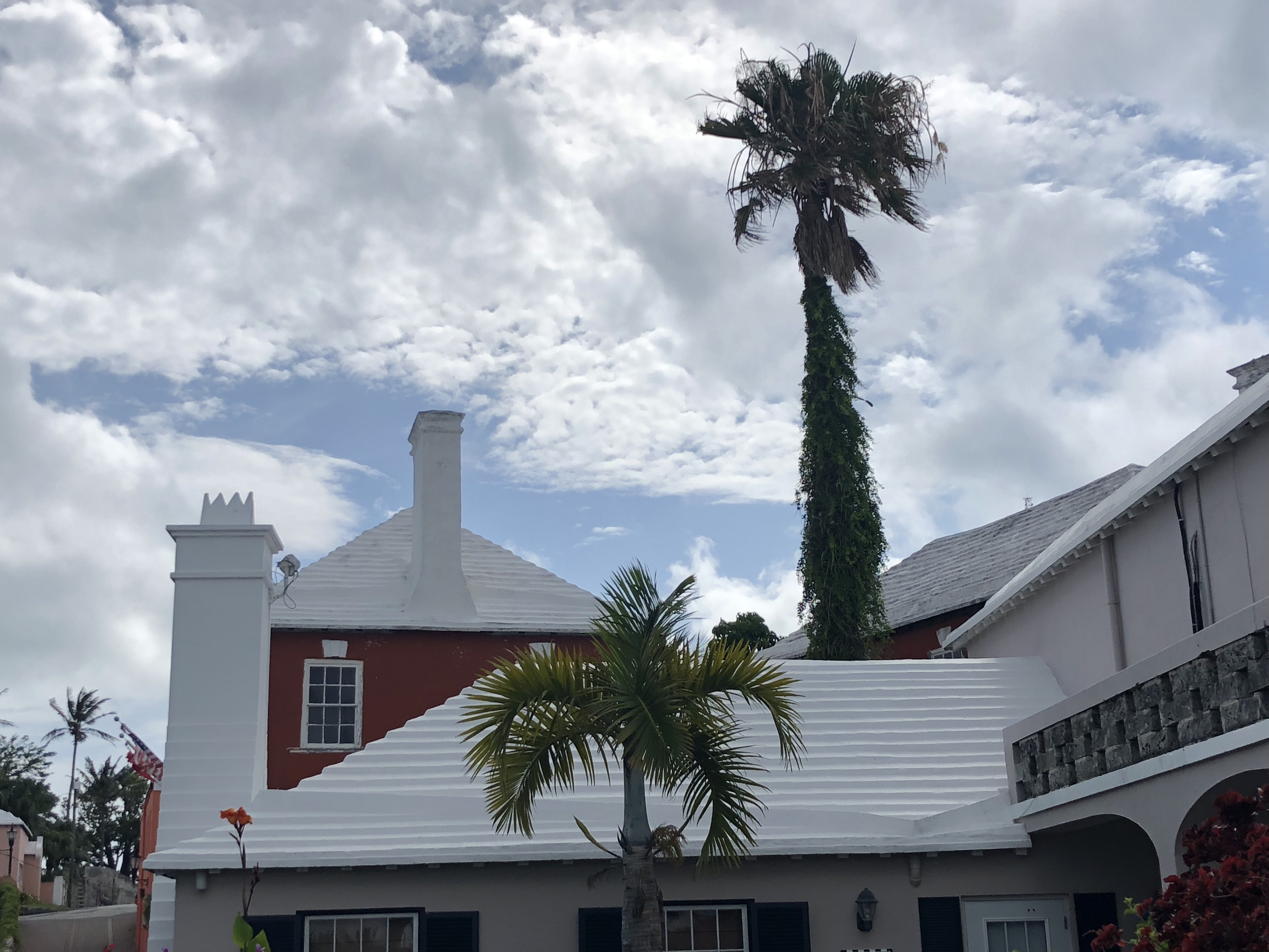 20180604_192644276_iOS