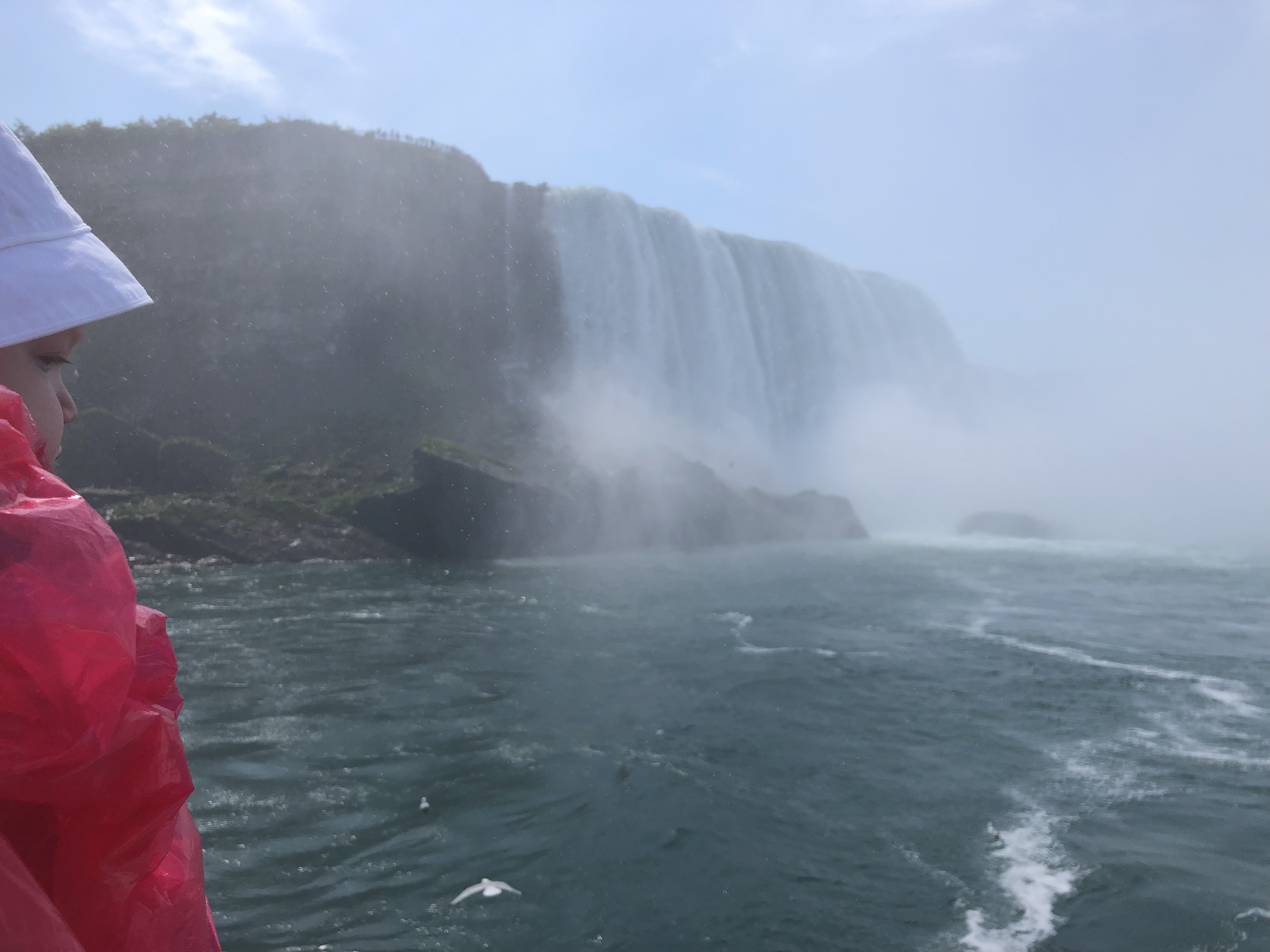 20180616_144356203_iOS