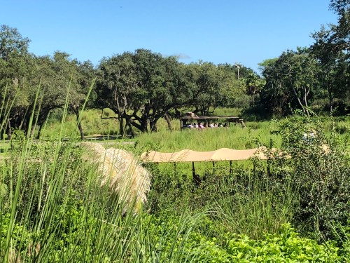 20180901_143034155_iOS (1)