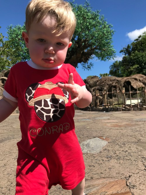 20180901_151423530_iOS (1)