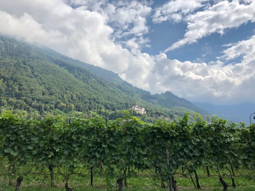 20180914_121225683_iOS