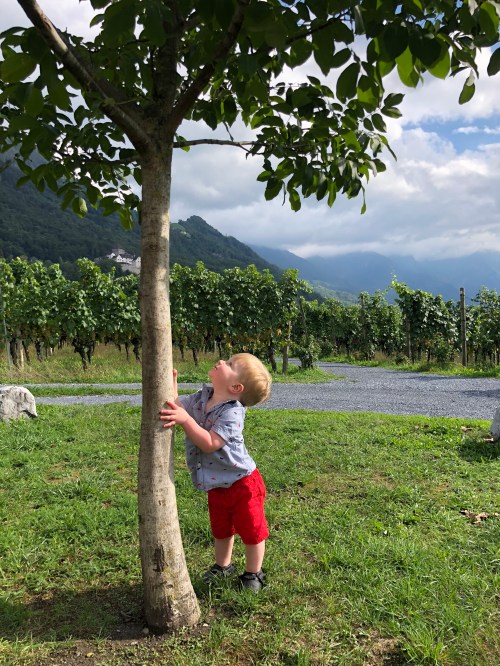 20180914_134346661_iOS (1)