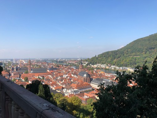 20180915_094032759_iOS