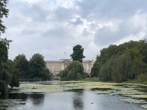 20180919_081413022_iOS