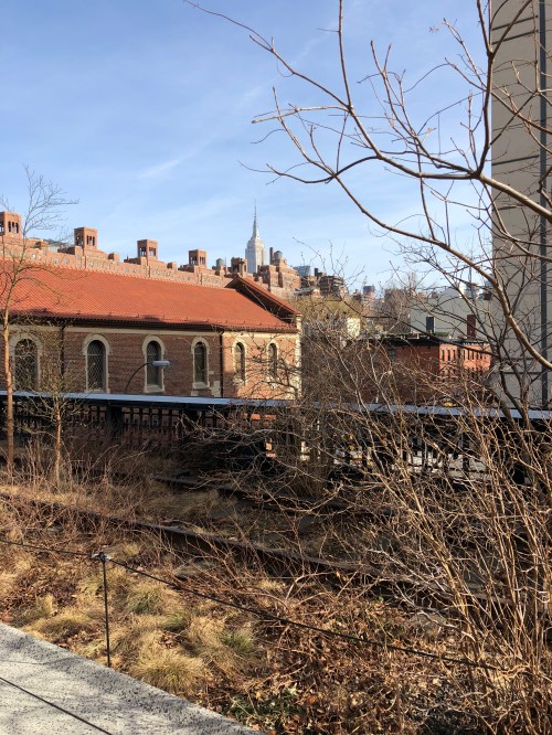 20180127_173330874_iOS