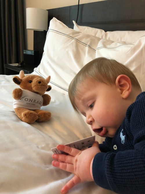 20180127_190639535_iOS