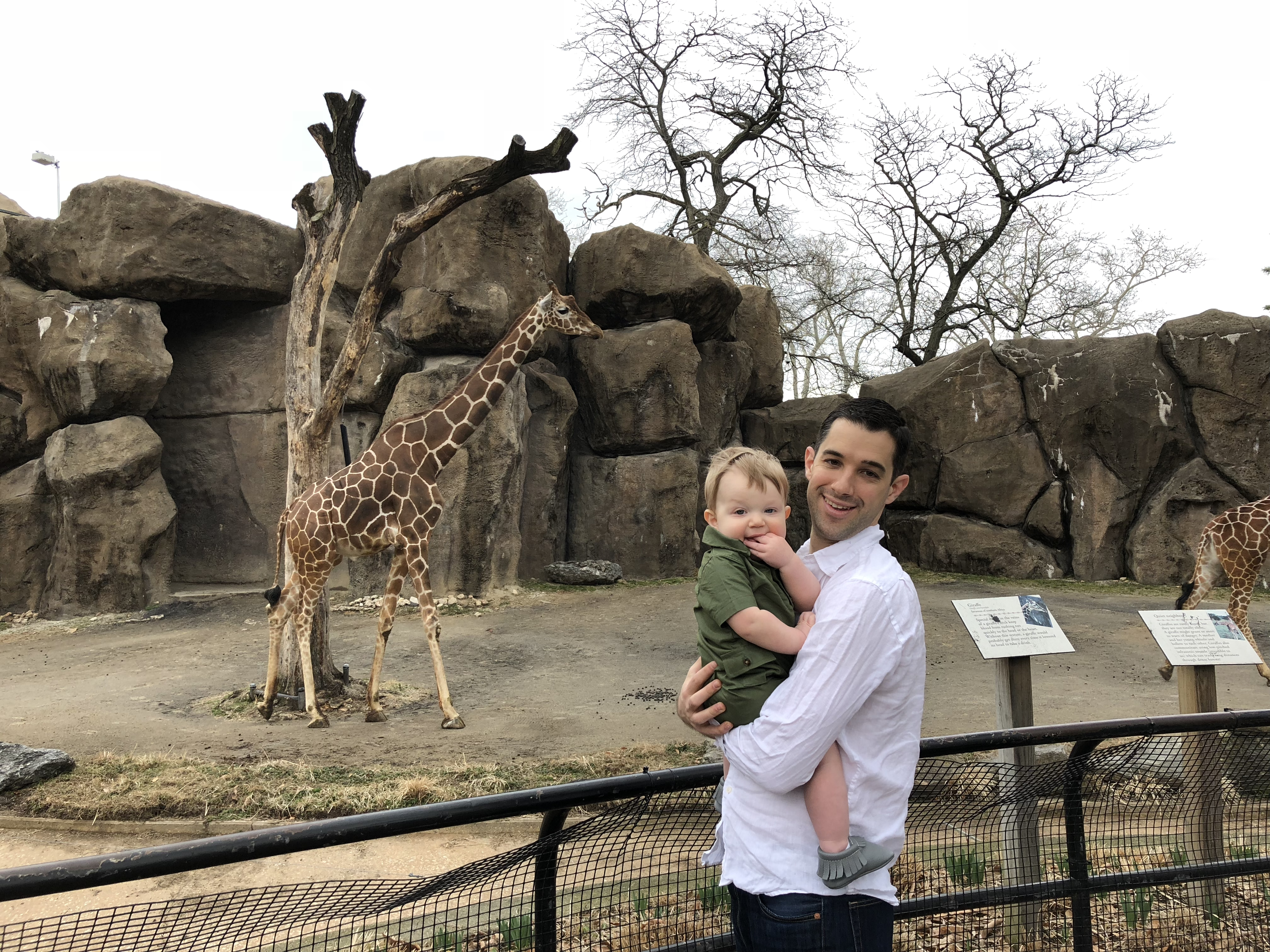 20180330_145157594_iOS