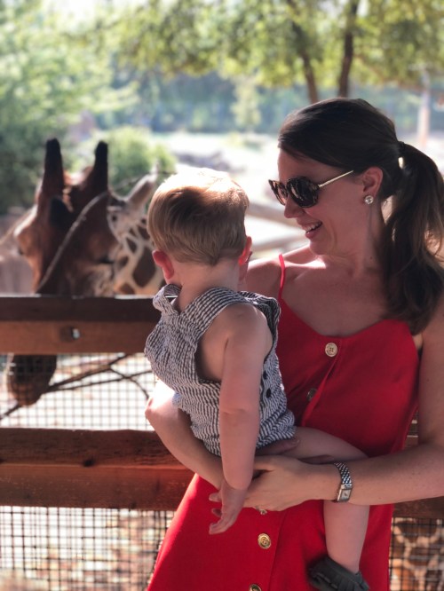 20180725_145128720_iOS