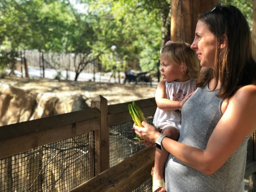 20180725_145223856_iOS