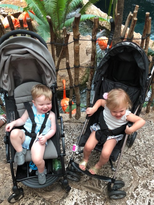 20180726_154646108_iOS