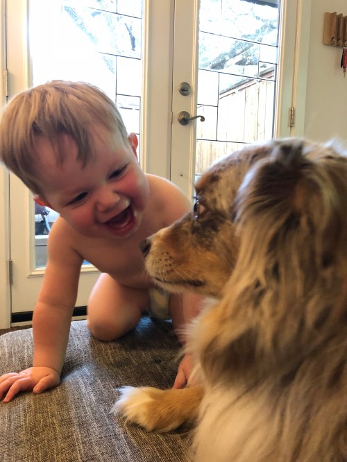 20180726_230418788_iOS