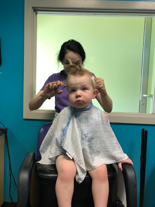 20180826_202552136_iOS