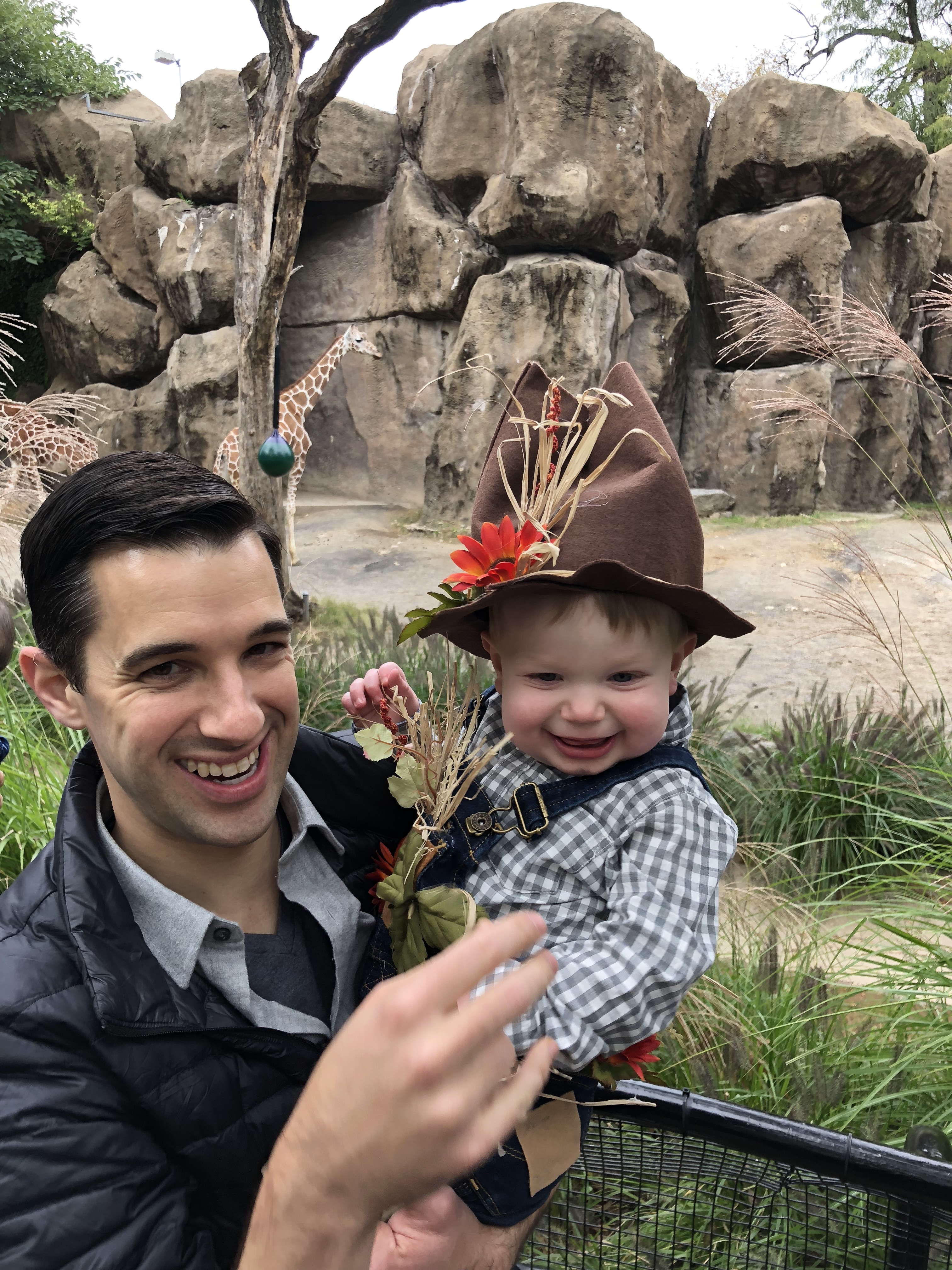 20181014_192531110_iOS