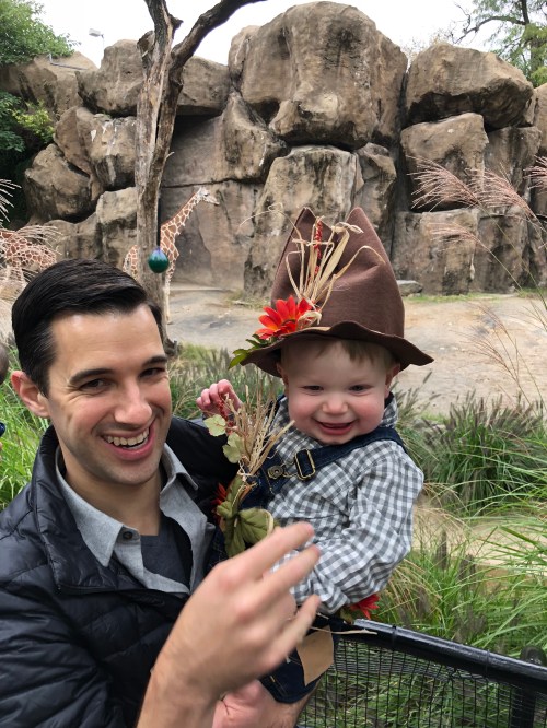 20181014_192531110_iOS