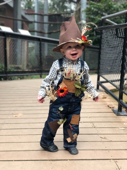 20181014_195454084_iOS (1)