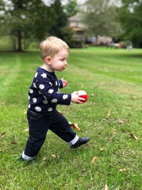 20181019_195430663_iOS