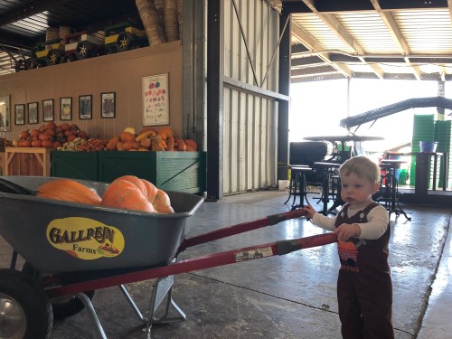 20181022_195908324_iOS