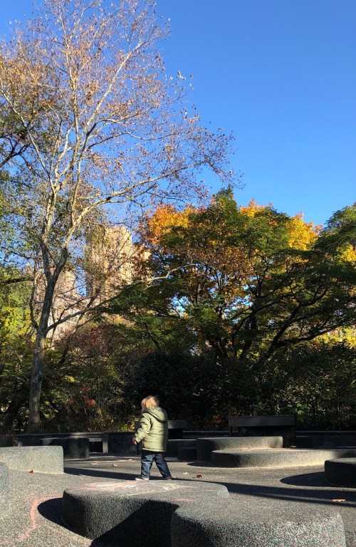 20181111_140920386_iOS