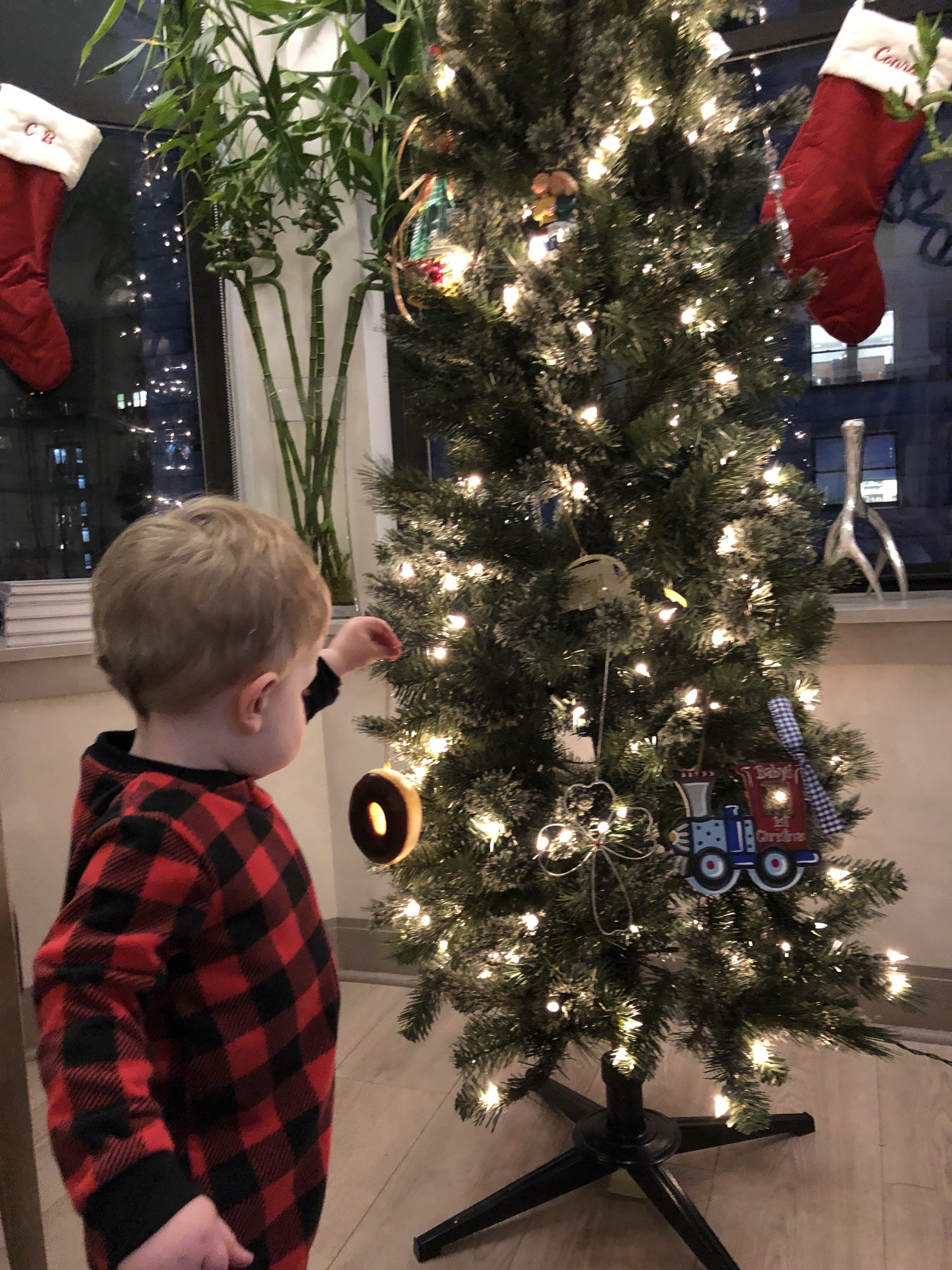 20181113_004624015_iOS