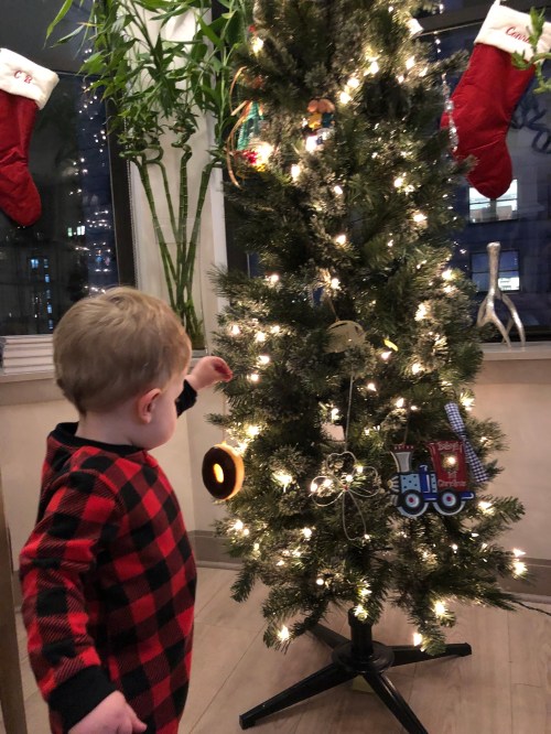 20181113_004624015_iOS