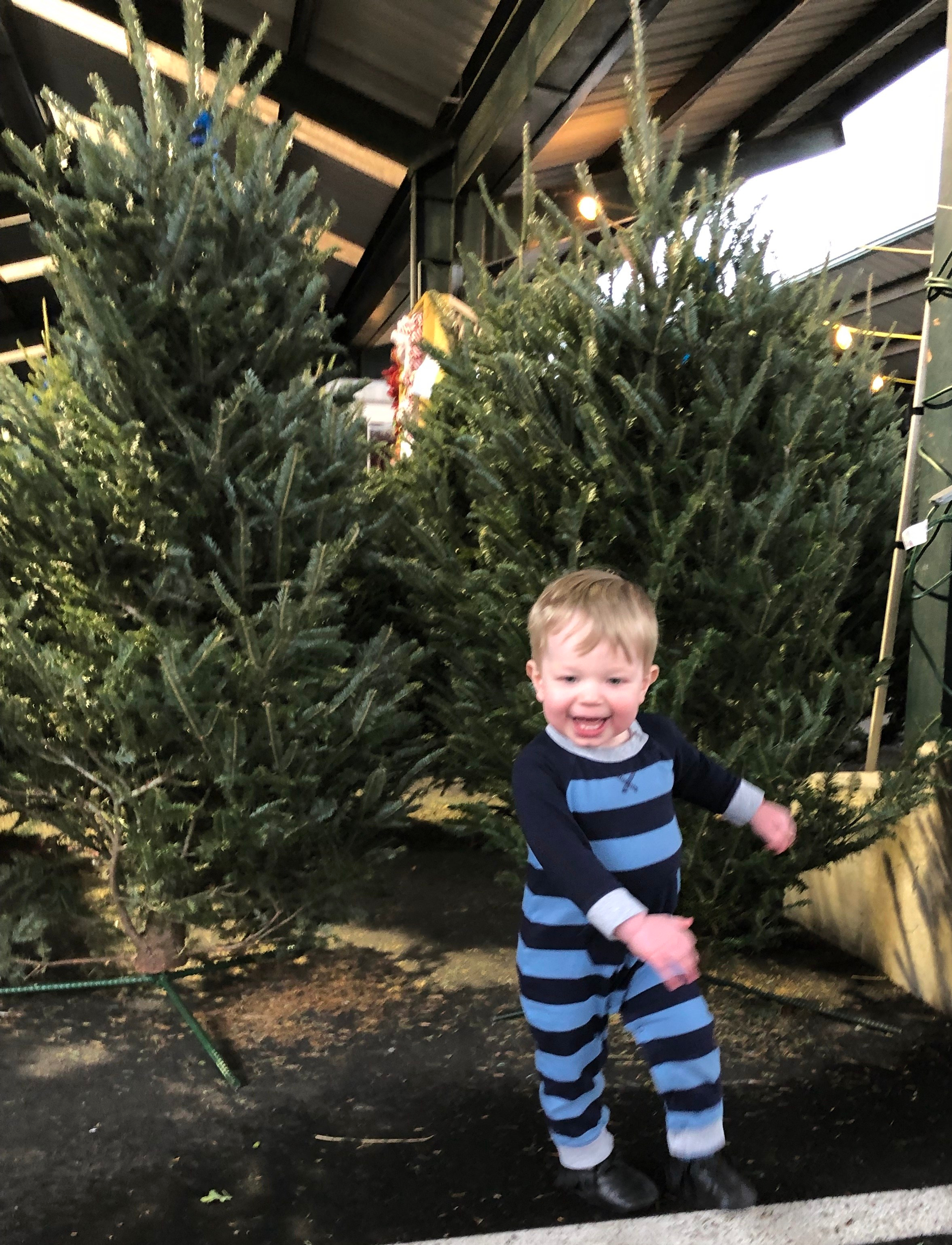 20181124_155921513_iOS