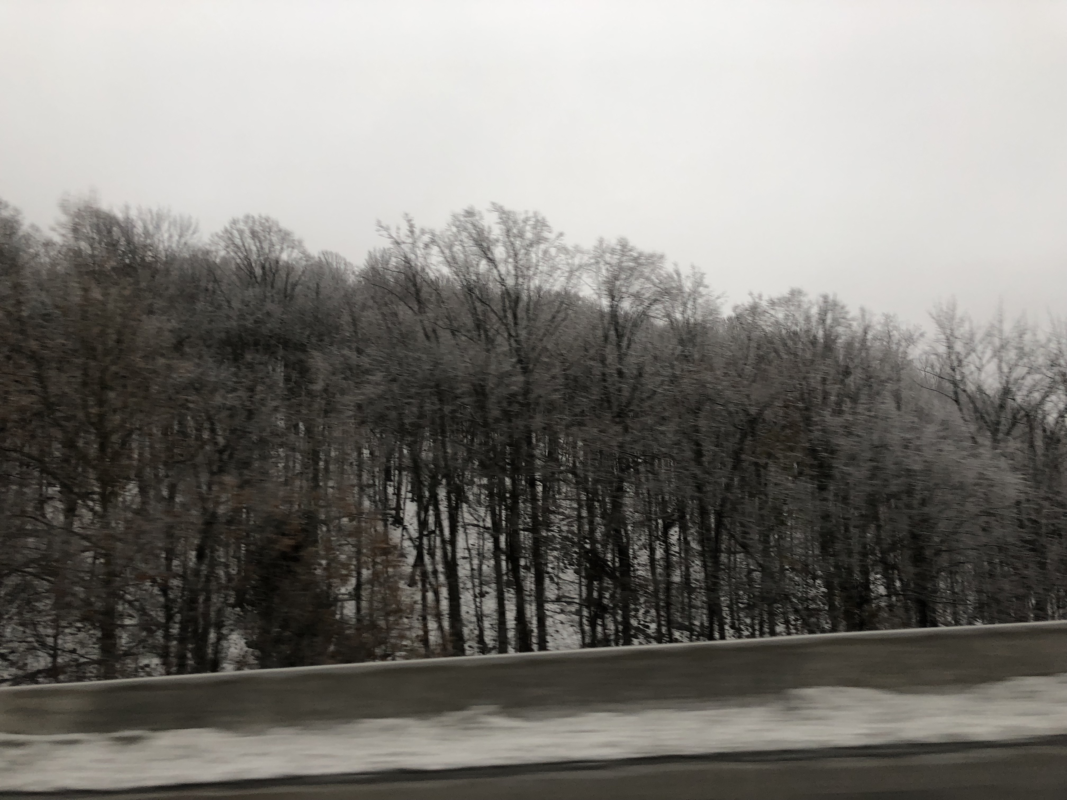 20181124_202619606_iOS