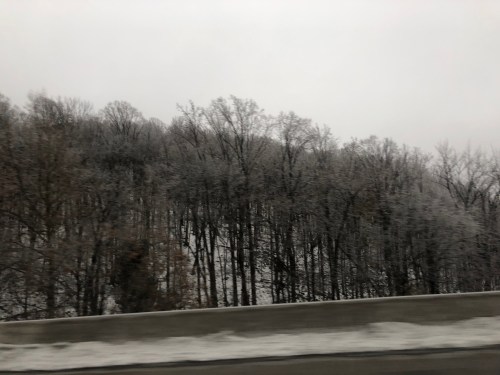 20181124_202619606_iOS