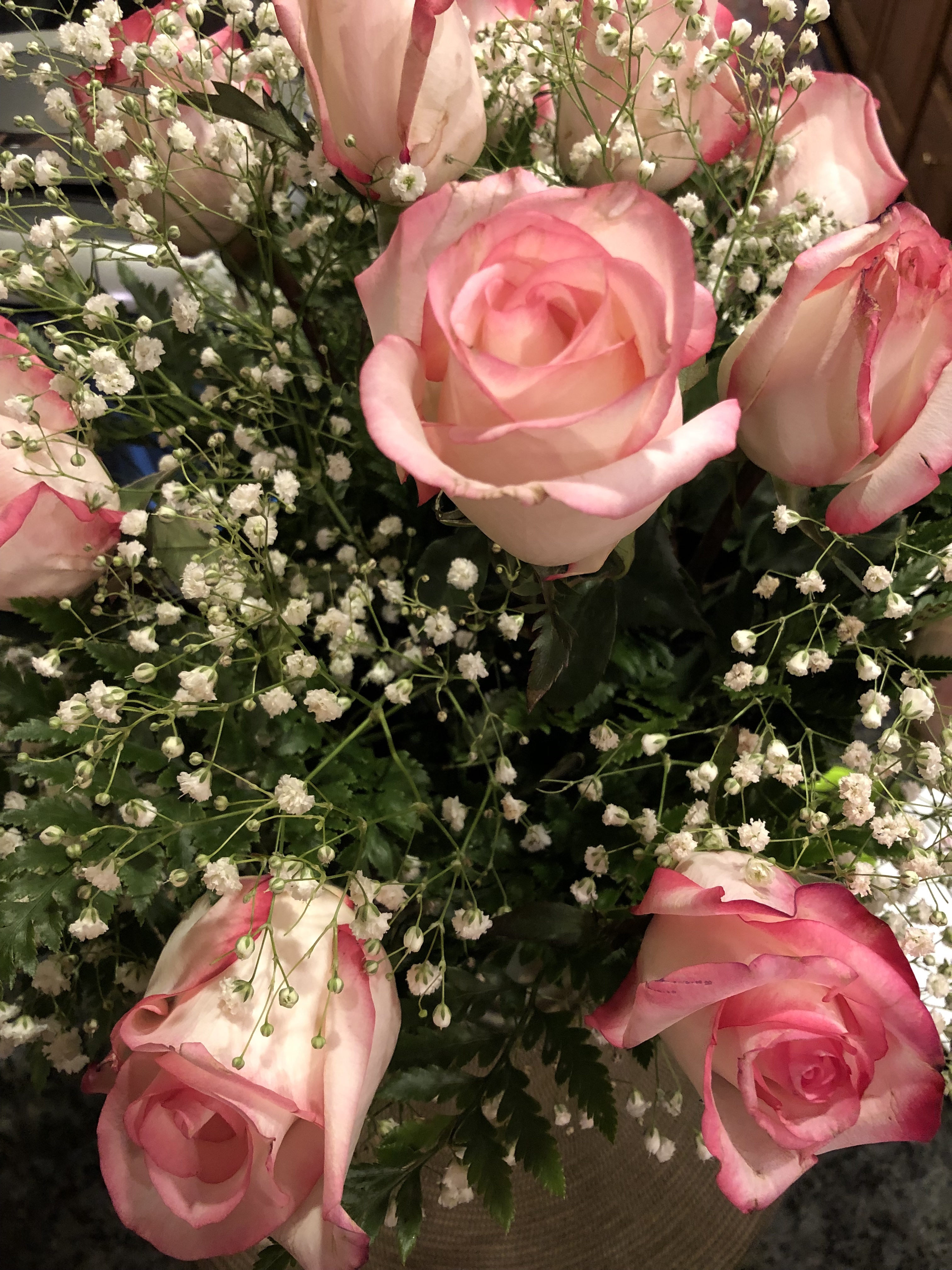 20181224_233423711_iOS