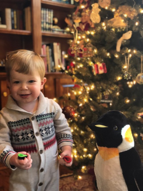 20181225_204043447_iOS