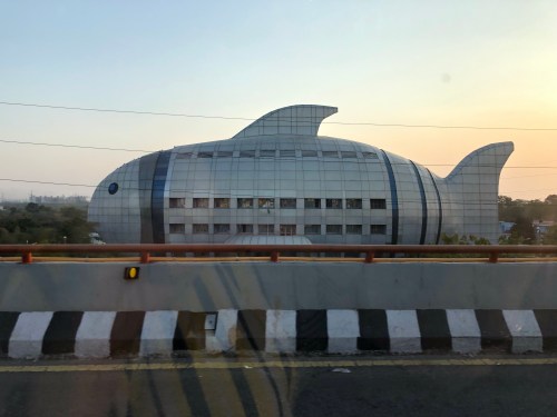 20190103_114202905_iOS