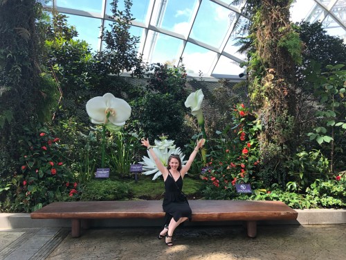 20190110_024028891_iOS