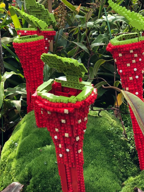 20190110_024429165_iOS