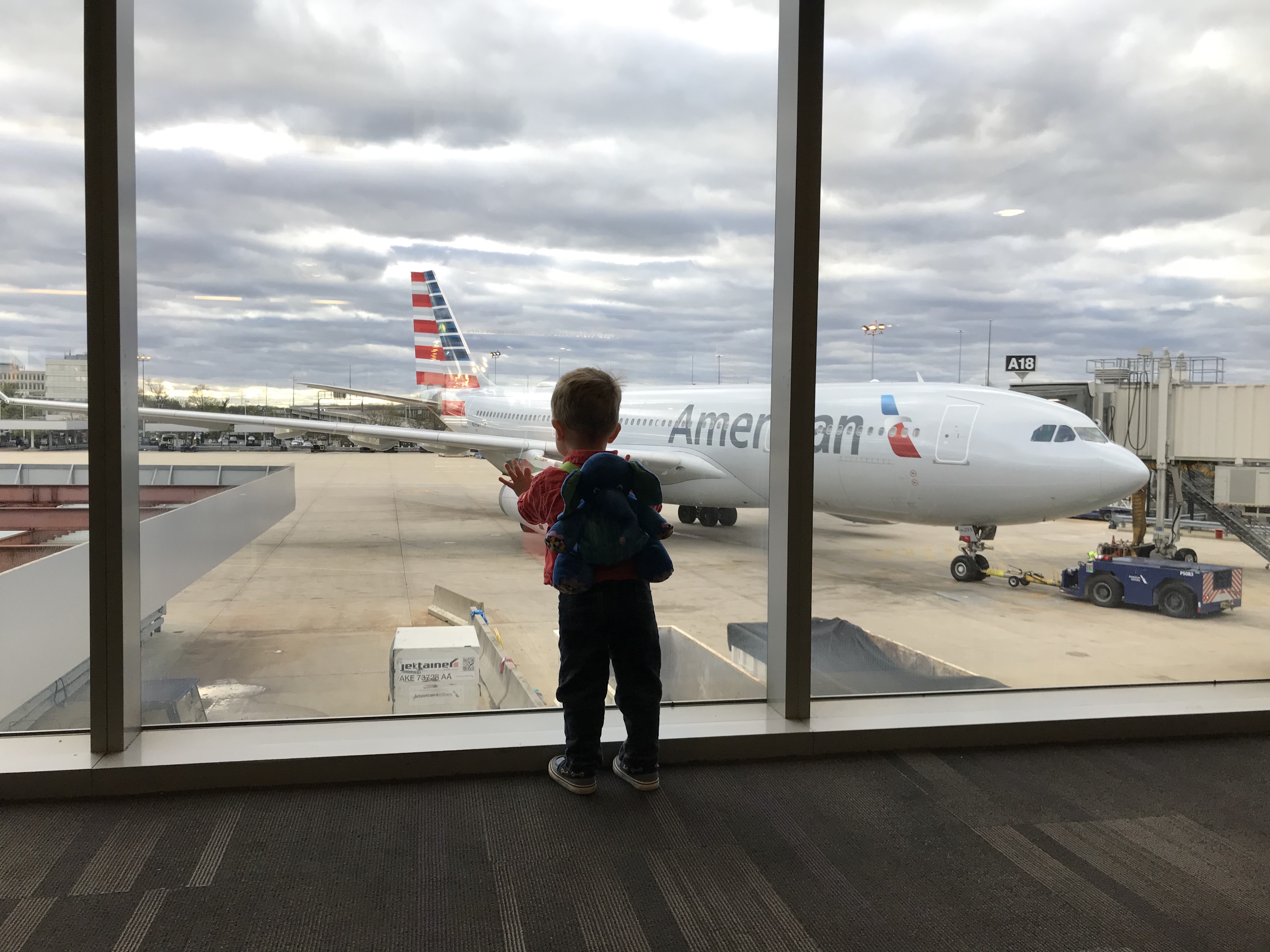 20190415_210447826_iOS (1)