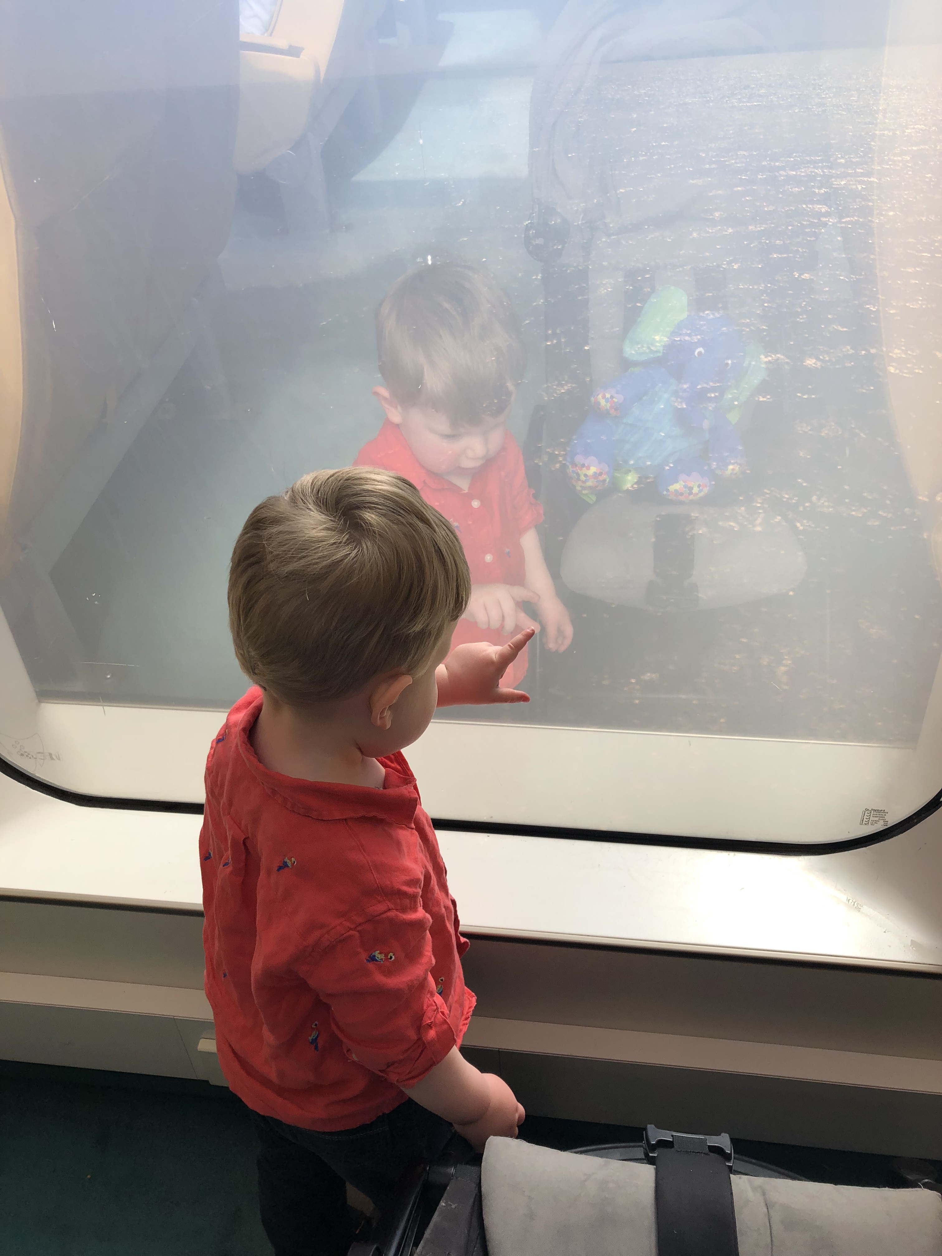 20190417_143241886_iOS