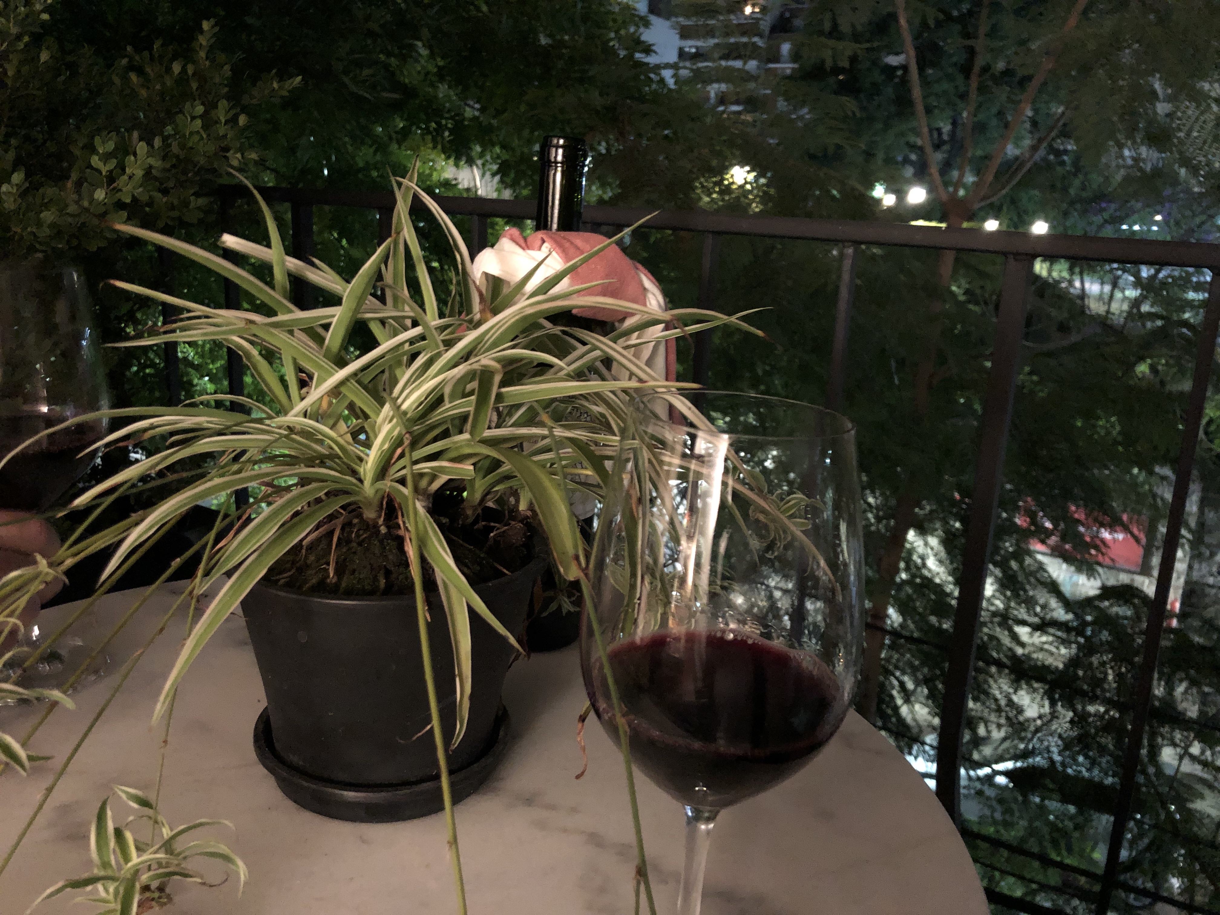 20190418_024917646_iOS