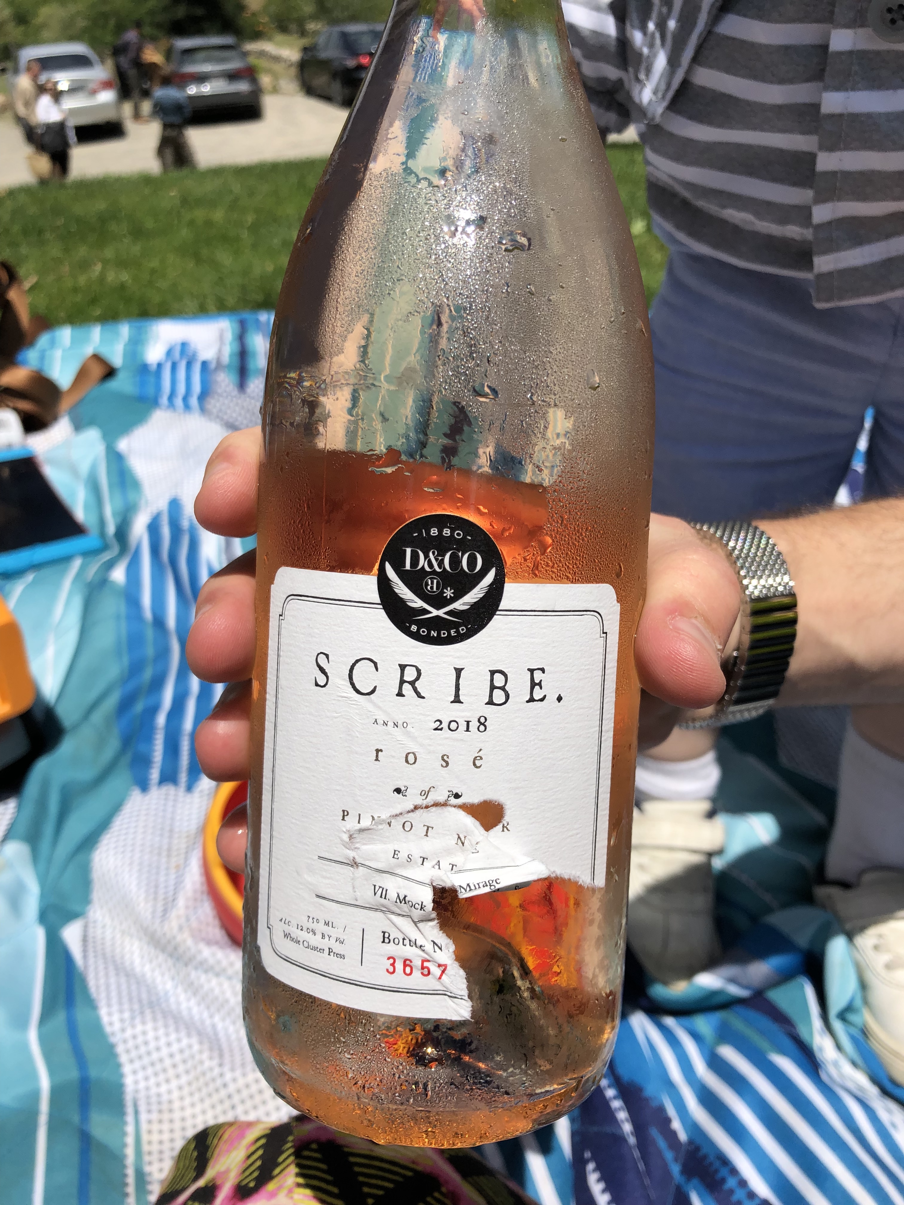 20190525_200756491_iOS