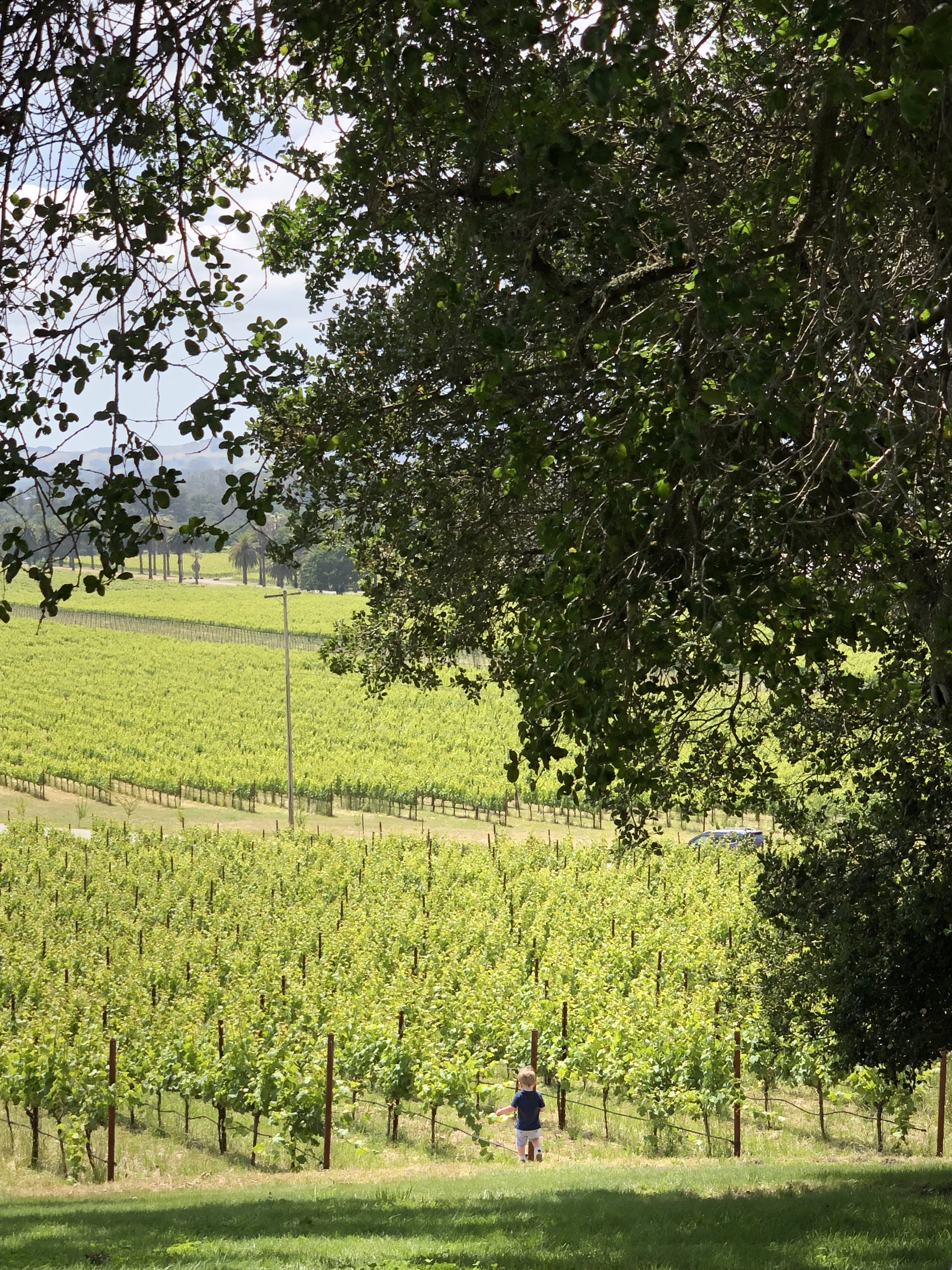 20190525_212953670_iOS