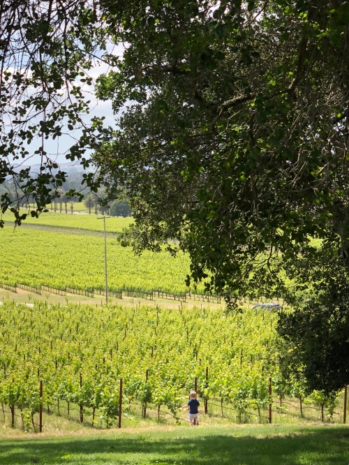 20190525_212953670_iOS