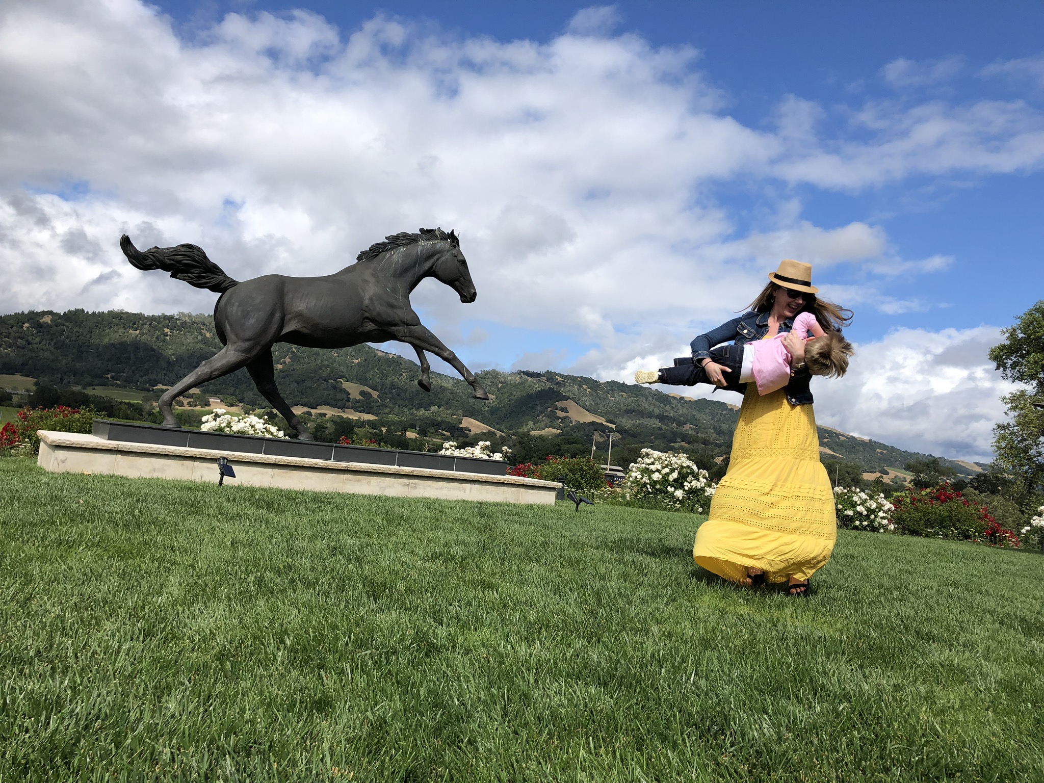 20190526_202909903_iOS (1)