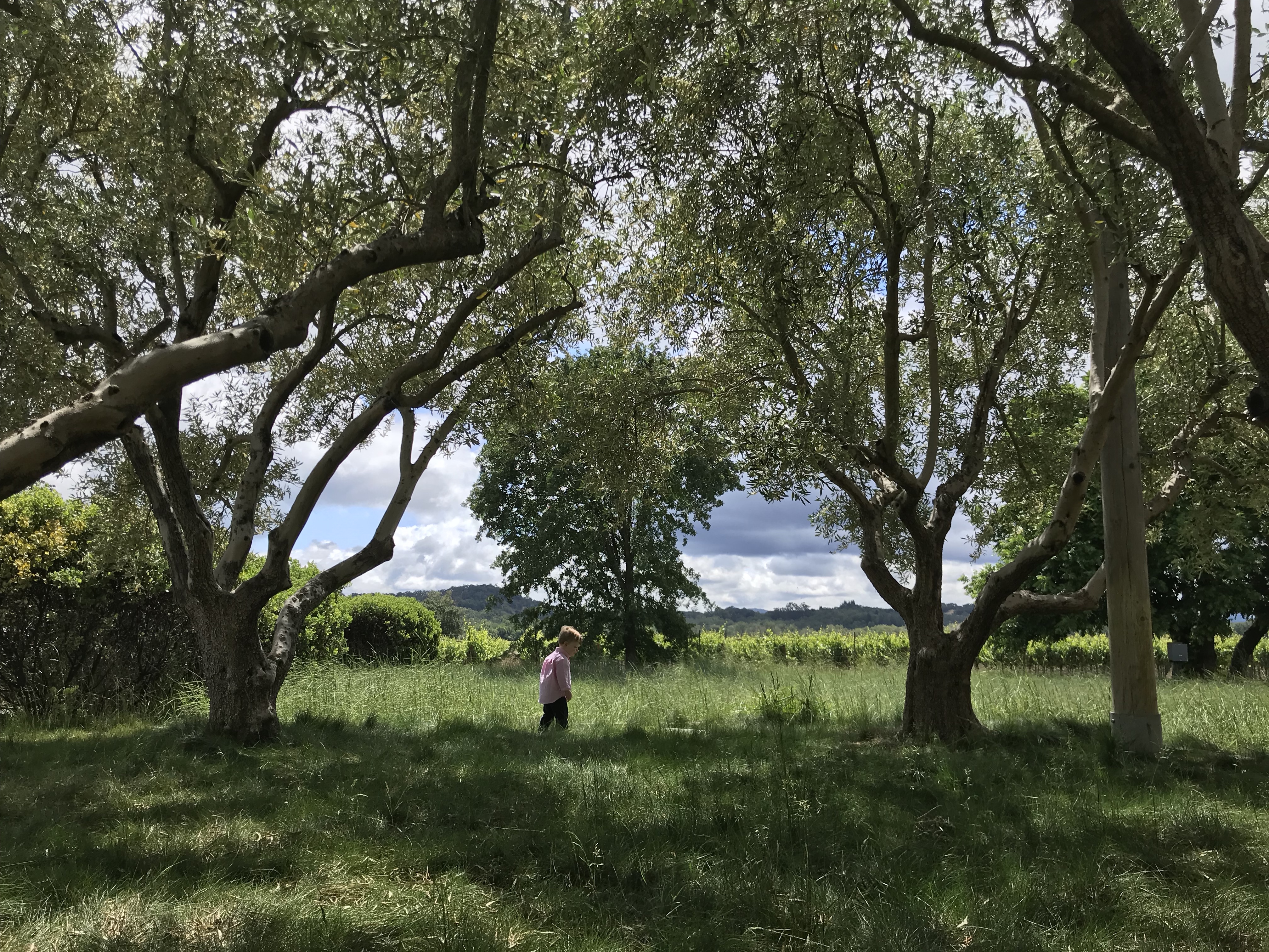 20190526_212211811_iOS