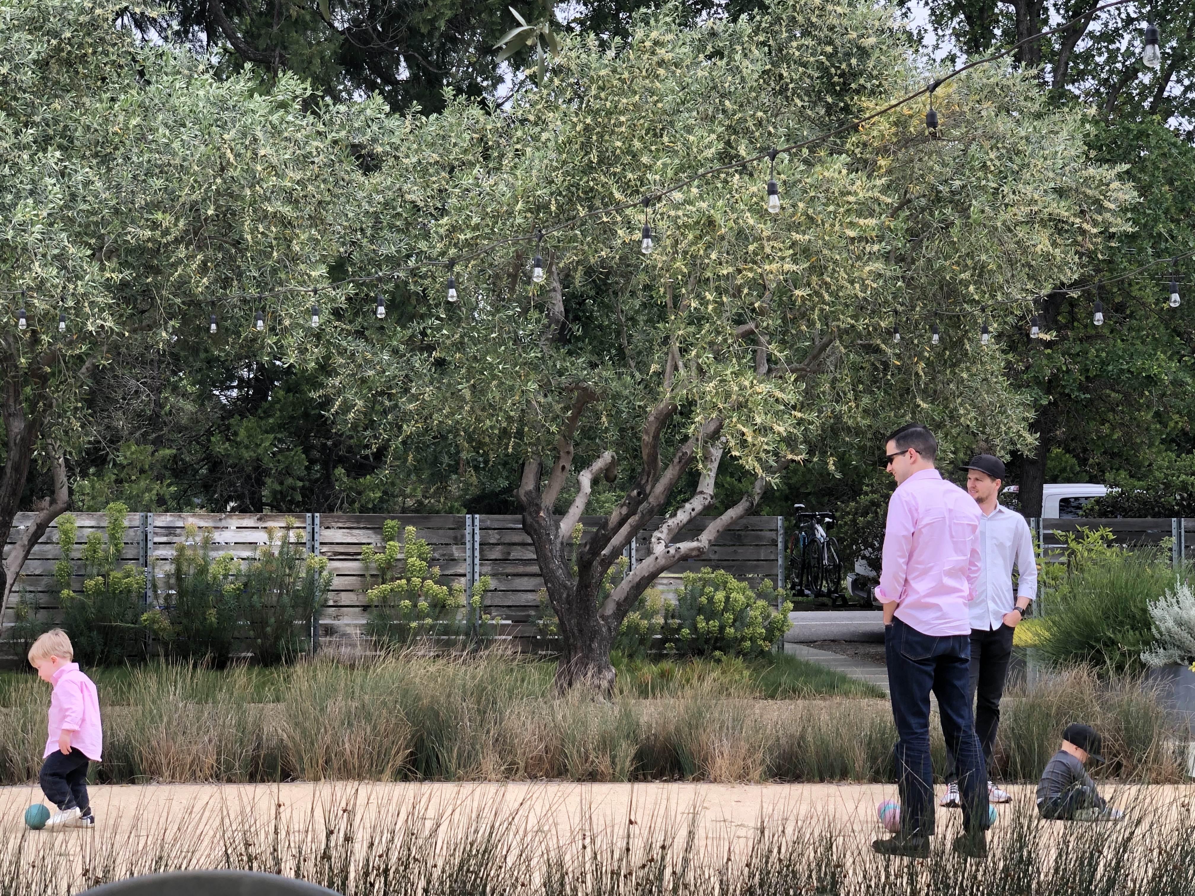 20190526_220414181_iOS